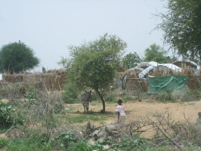 On the outskirts of Kalma camp, South darfur